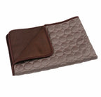 Pet Summer Cooling Ice Silk Mat