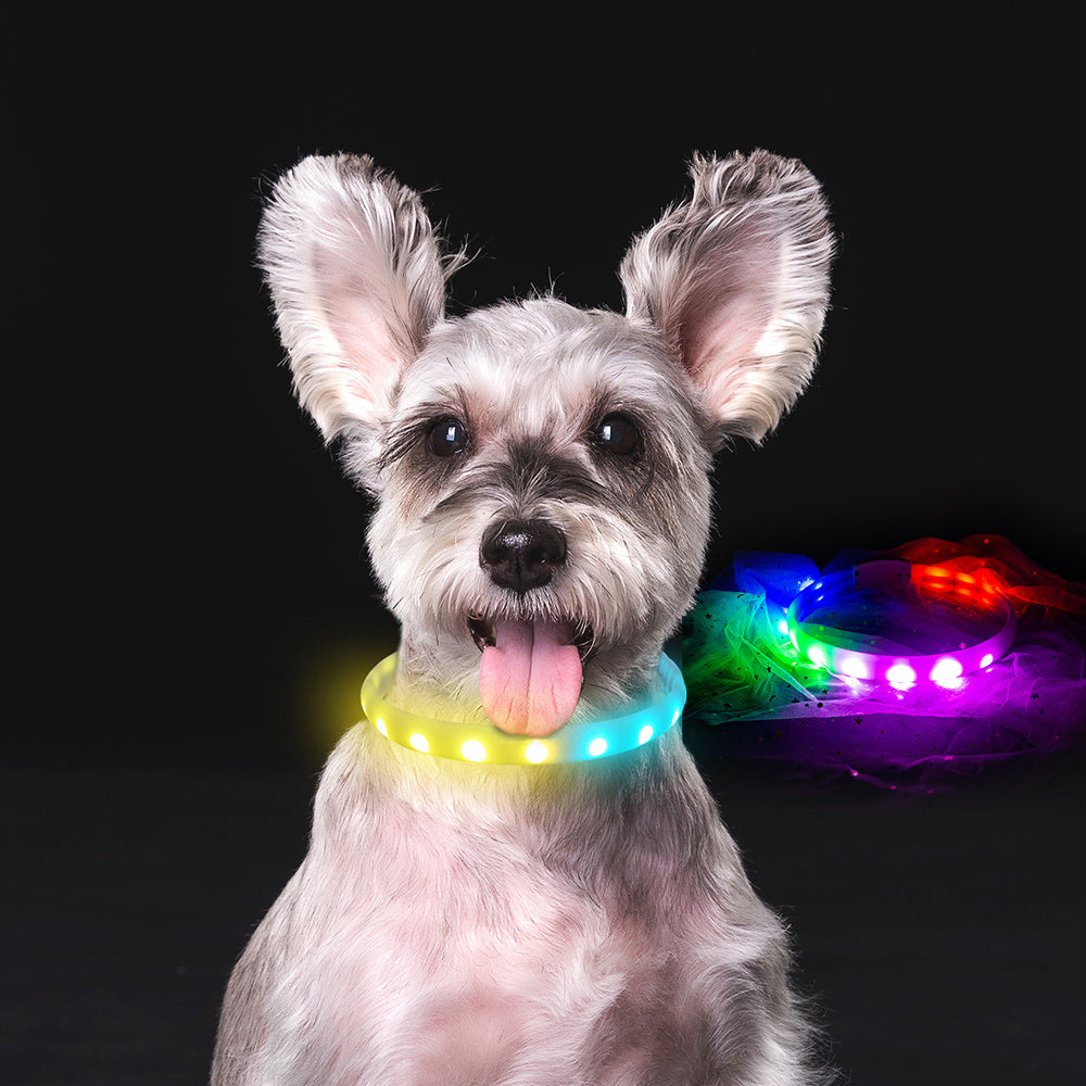 USB wiederaufladbares LED-Hundehalsband – verstellbares Silikon-Anti-Verlust-Blitzhalsband