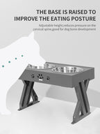 Raised Stainless Steel Dog Food Bowl