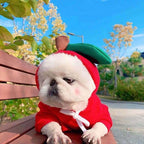Warm Winter Dog Fruit Hoodie