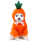 Warm Winter Dog Fruit Hoodie