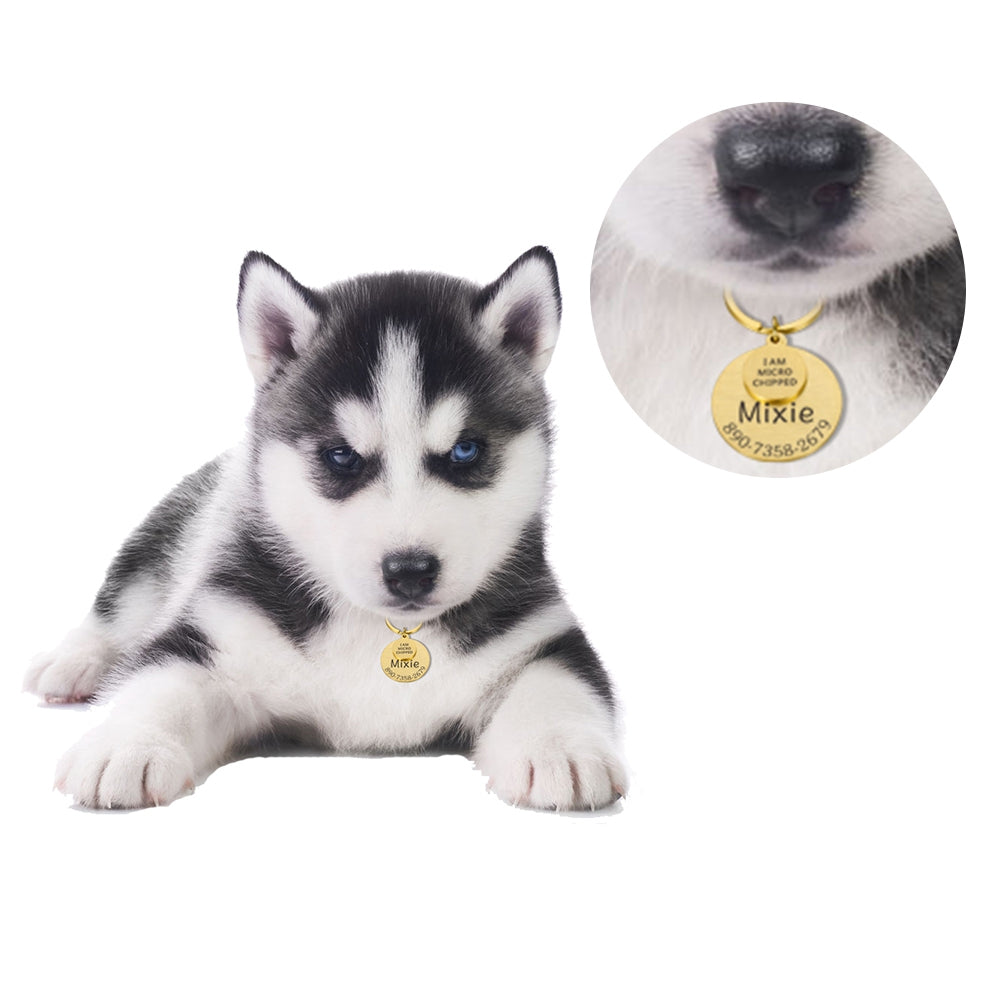 Personalized Dog Tag Keychain: Pet ID Collar