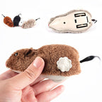 Running Mouse Cat Toy