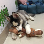 ToyTigris Bite Resistant Animal Dog Toy
