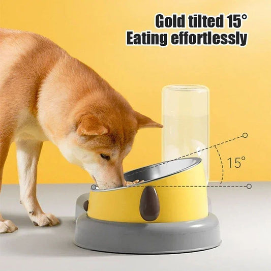 2-in-1 Tilted Pet Feeder Bowl with Automatic Water Dispenser