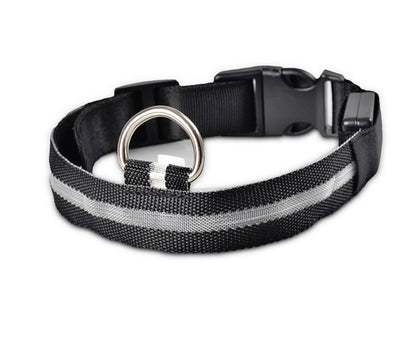 LED Night Safety Dog Collar