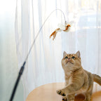 Handsfree Long Stick Feather Cat Toy Interactive Play for Cats