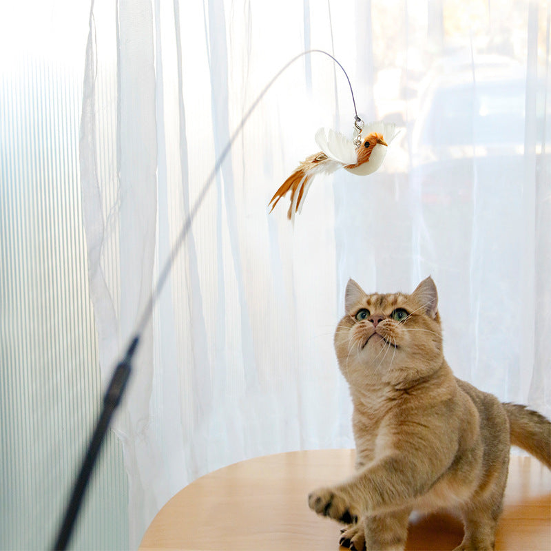 Handsfree Long Stick Feather Cat Toy Interactive Play for Cats