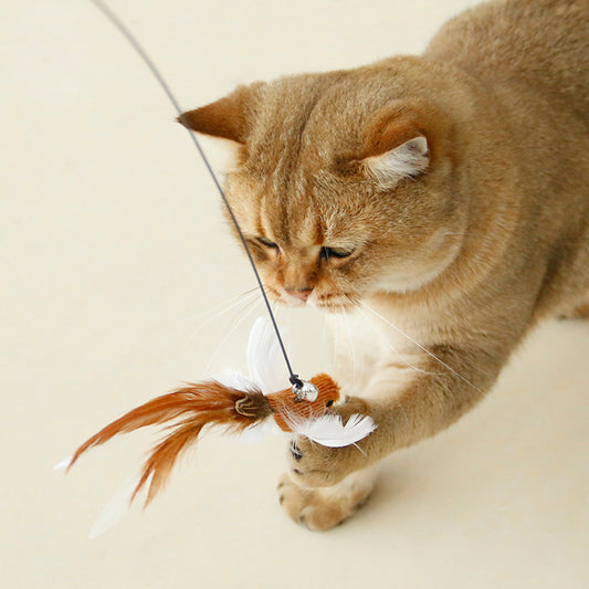 Handsfree Long Stick Feather Cat Toy Interactive Play for Cats