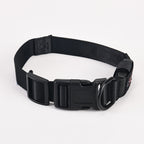 APP Control LED Dog Collar