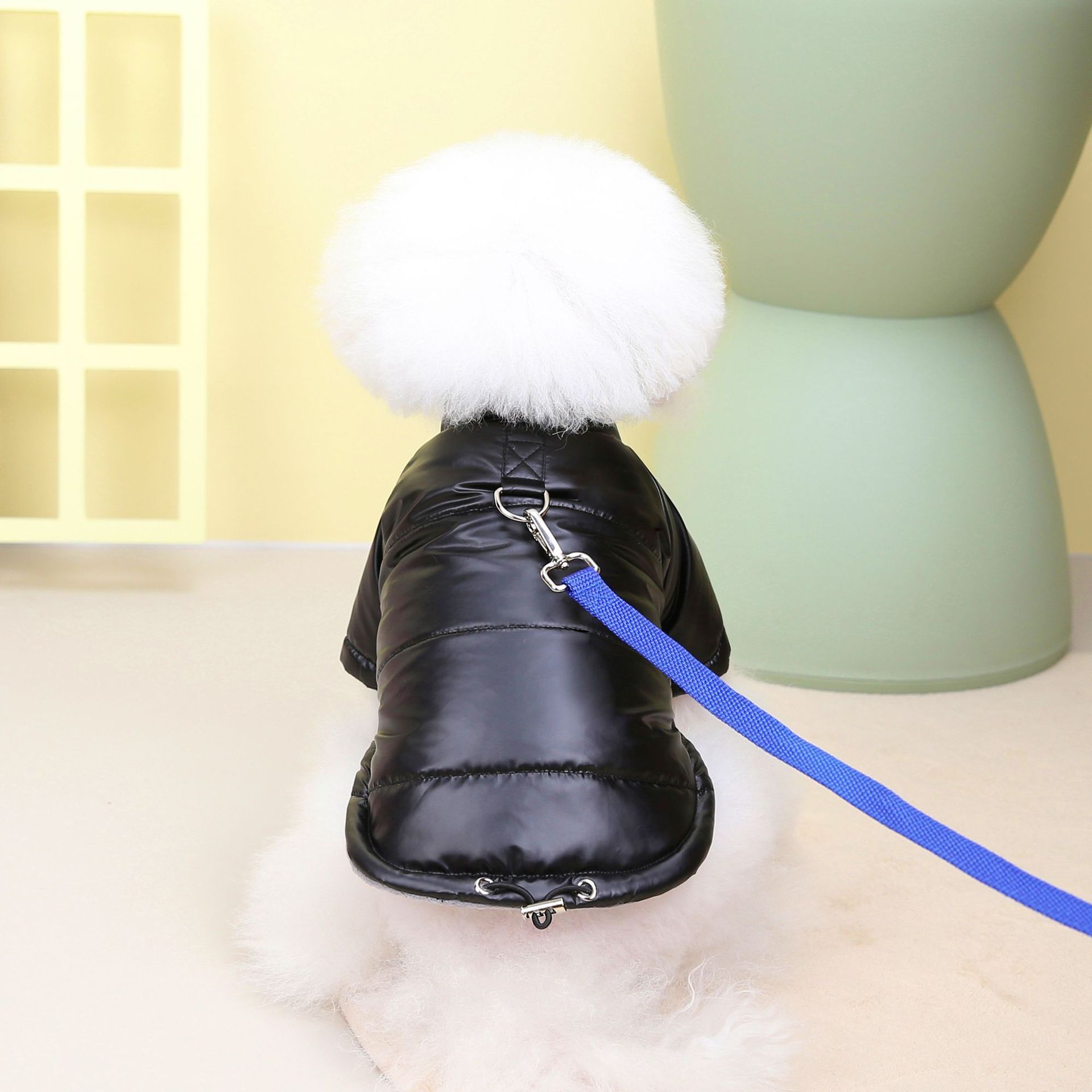 Wasserdichte Hundejacke: Gemütliche Winterkleidung für Haustiere