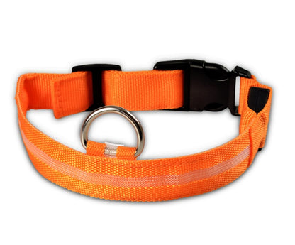 LED Night Safety Dog Collar