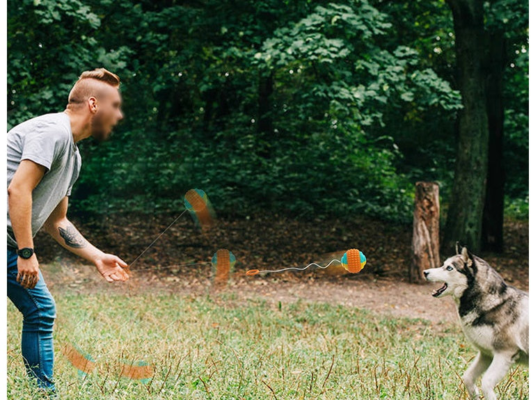 Throwing Ball Bite Resistant Dog Toy