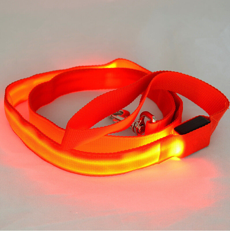 Toytigris LED Dog Leash