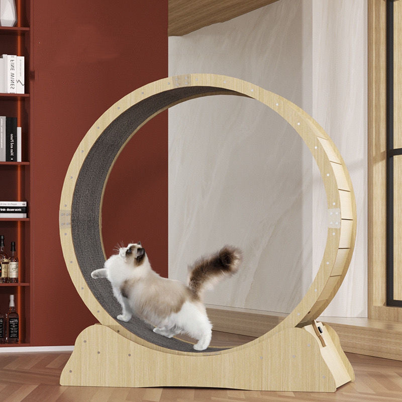 ToyTigris Cat Treadmill Fitness Wheel Toy