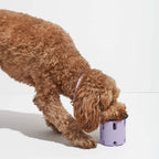 Natural Rubber Tennis Cup Dog Toy