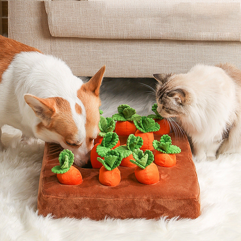 Plush Carrot Vegetable Dog Toy