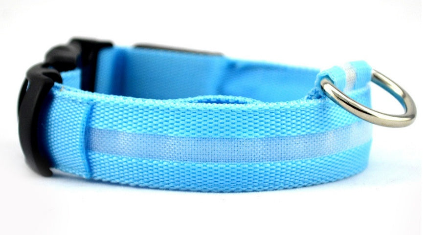 LED Night Safety Dog Collar