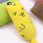 Cute Plush Catnip Toy