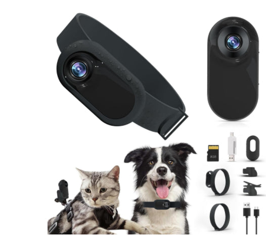 ToyTigris Haustierhalsband-Kamera für Katzen und Hunde