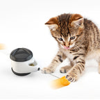 ToyTigris Balance Swinging Car Cat Toy