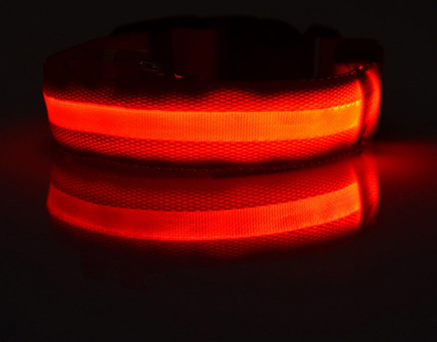 LED Night Safety Dog Collar