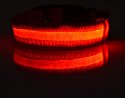 LED Night Safety Dog Collar