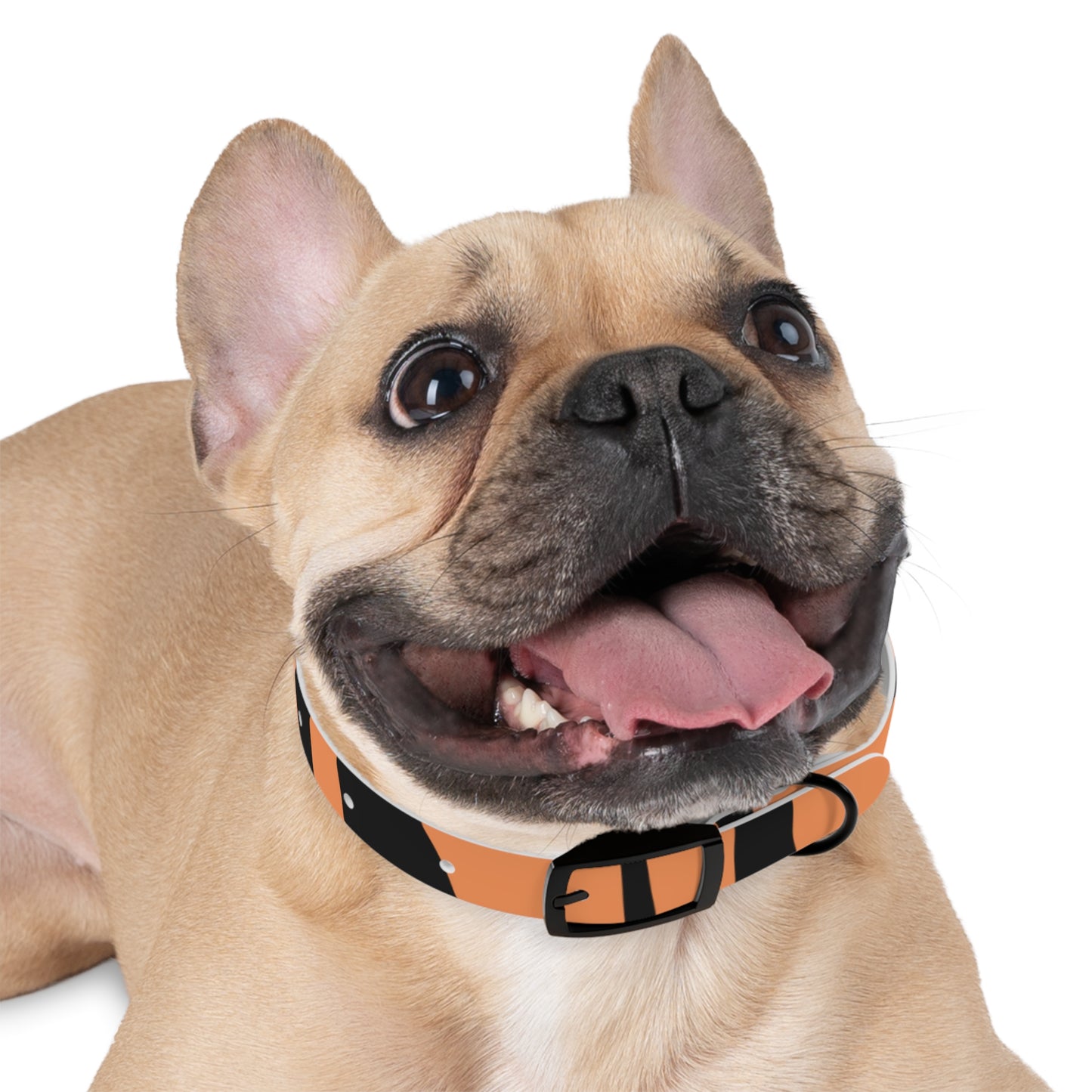 Stylish Tiger Striped Pet Collar