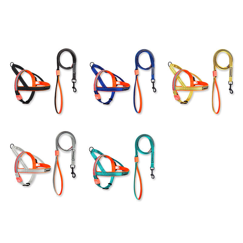 TouchDog LED pet leash set