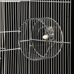 Acrylic Hamster Fitness Running Wheel