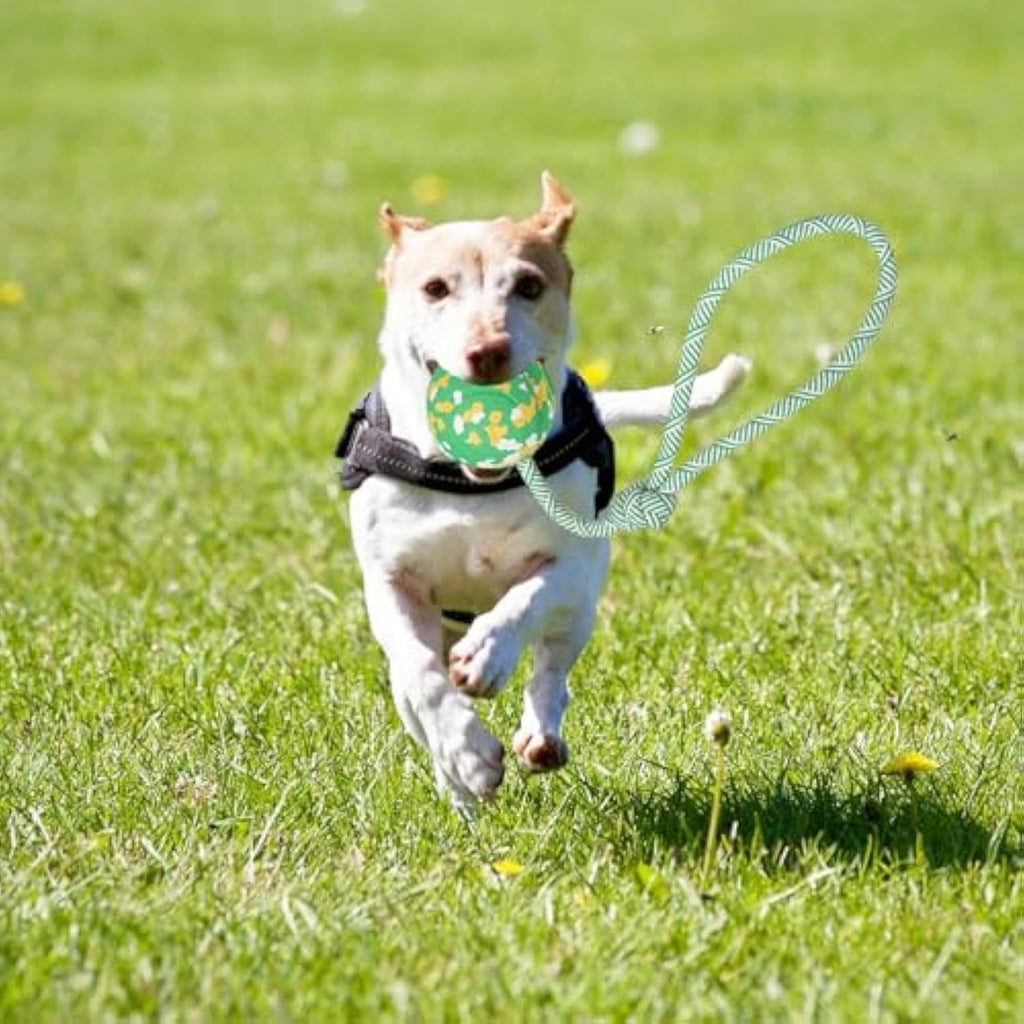 Natural Solid Rope Rubber Ball Dog Toy