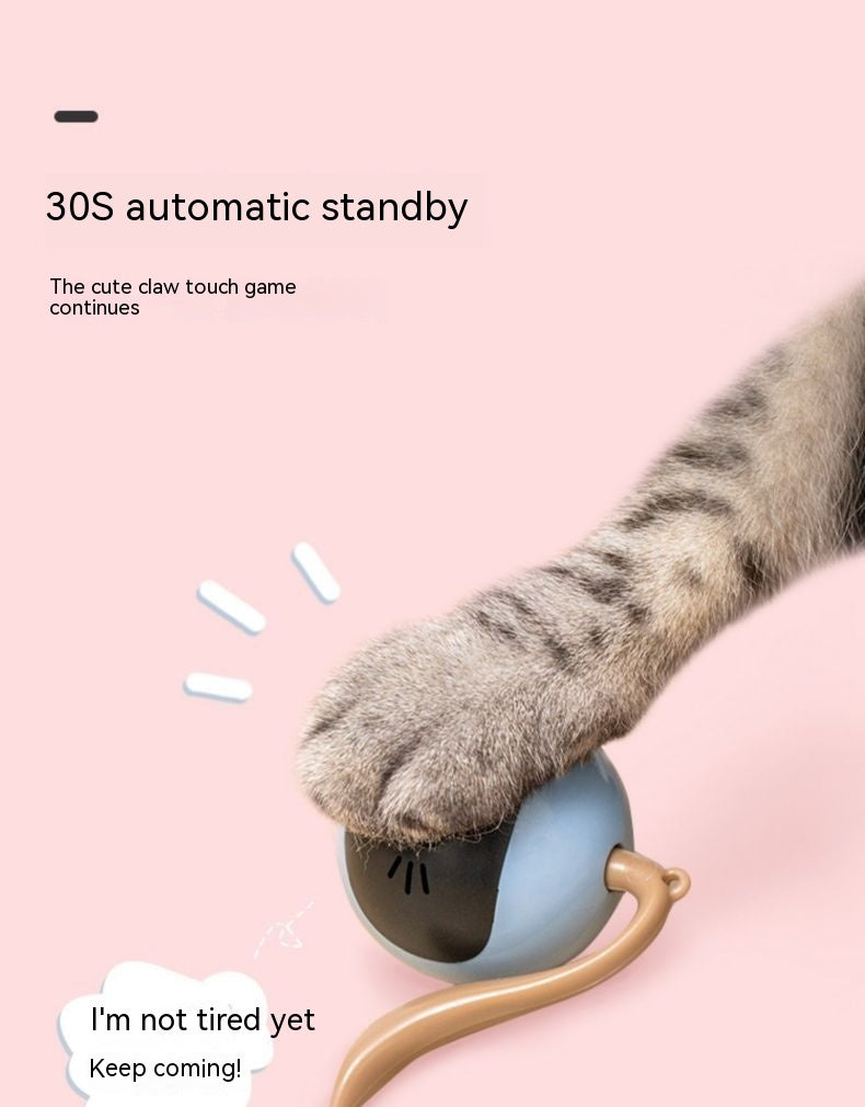 Electric Cat Toy Ball Interactive Rolling Play for Cats