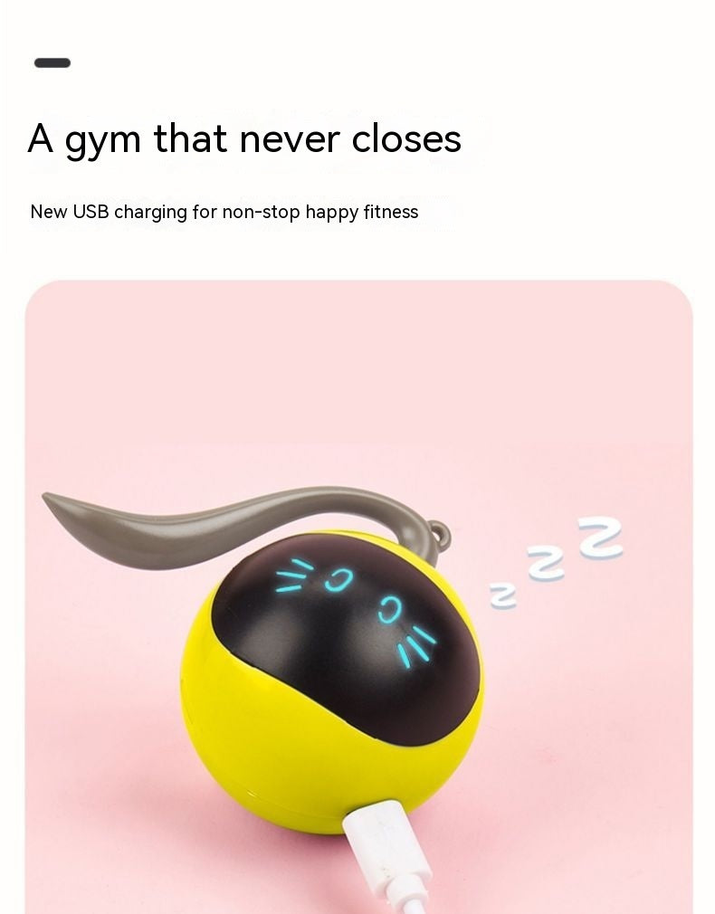 Electric Cat Toy Ball Interactive and Rolling