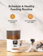 Automatic Pet Feeder with WiFi & USB Options