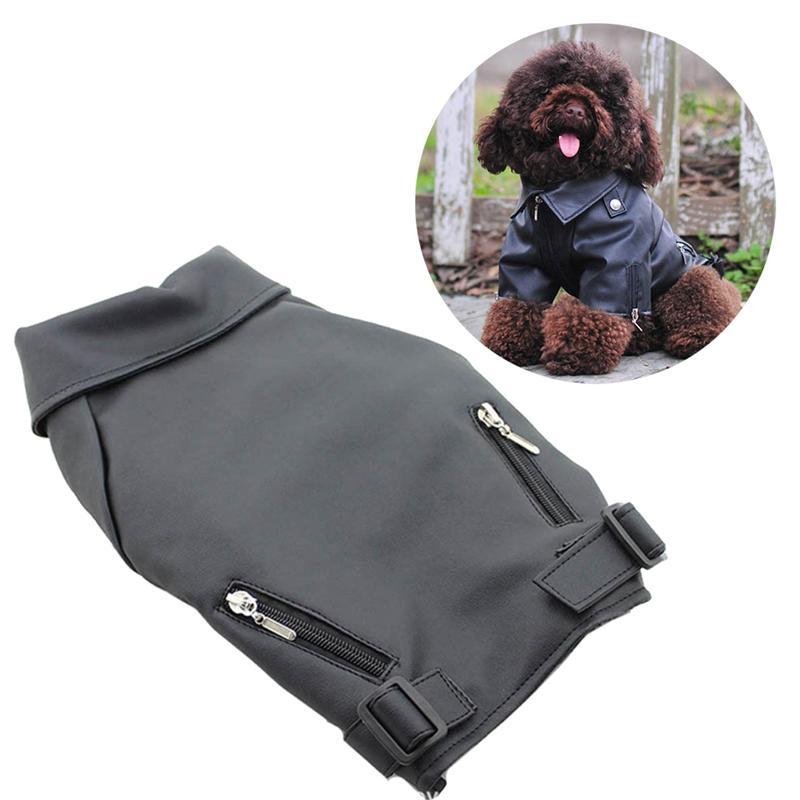 Winter Leather Dog Jacket - Stylish Clothes