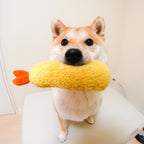 Squeaky Shrimp Dog Toy