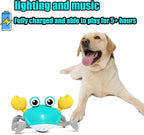 ToyTigris Interactive Crawling Crab Toy for Pets