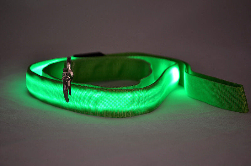 Toytigris LED Dog Leash