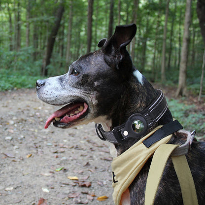 Airtag Pet Collar with Protective Cover