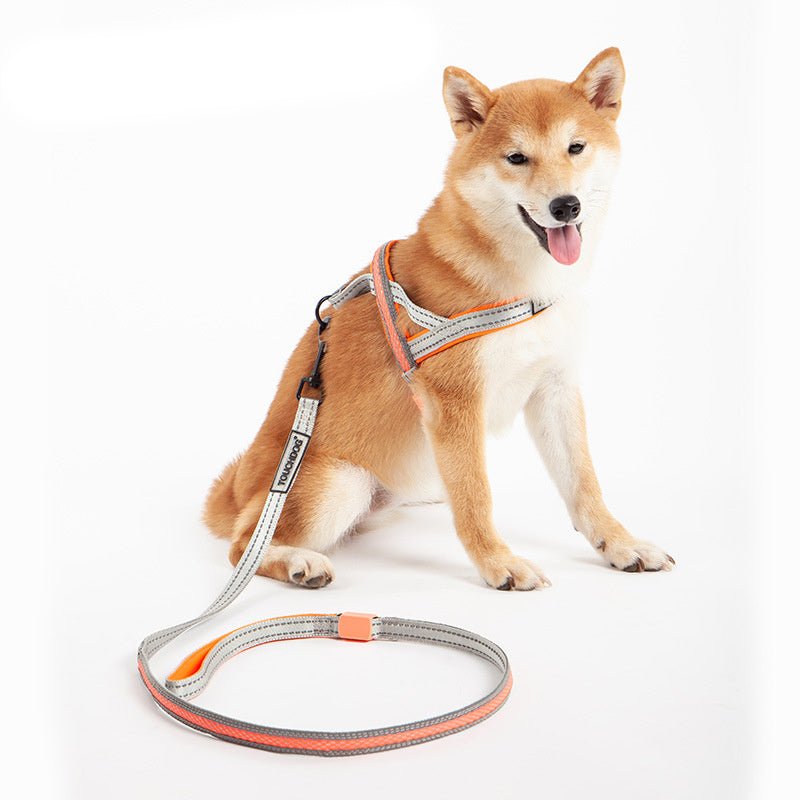 TouchDog LED pet leash set