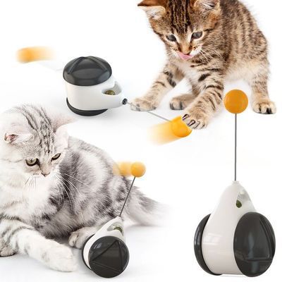 ToyTigris Balance Swinging Car Cat Toy