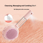 2 In 1 Water Spray Comb