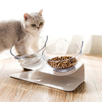 Non-Slip Elevated Double Cat Bowl with Stand Food & Water Feeder