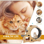 ToyTigris 6-in-1 Cat Fitness Wheel and Activity Centre