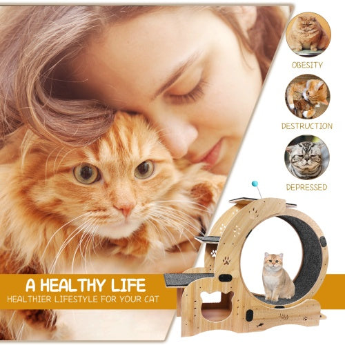 ToyTigris 6-in-1 Cat Fitness Wheel and Activity Centre