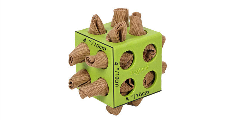 Educational Cube Molar Dog Toy