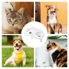 Elevated Tilted Cat Food & Water Bowl Ceramic Pet Feeding Set