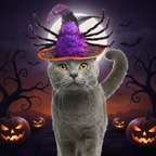 A gray cat wearing a witch hat with spider legs and a purple pom-pom, standing in a Halloween scene with pumpkins, bats, and a full moon.