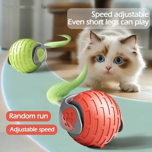 Fast Rolling Ball Cat Toy Interactive Exercise or Play for Cats