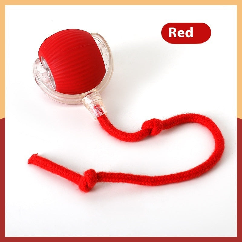 ToyTigris Super Drive Smart Cat Toy Ball
